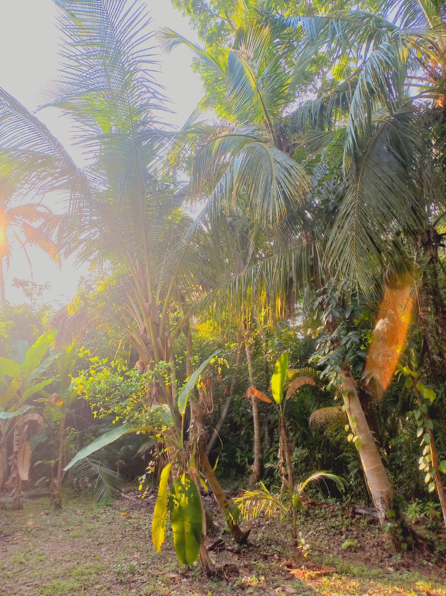 FB IMG 1775452765454