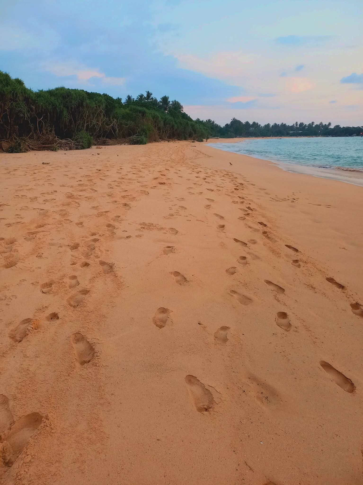 FB IMG 1776938817060